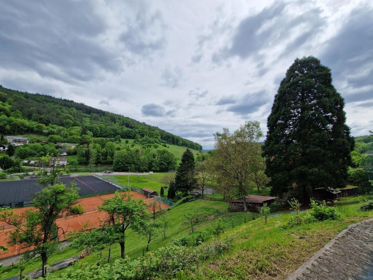 Ferienhaus Heinz Heiligkreuzsteinach Екстер'єр фото