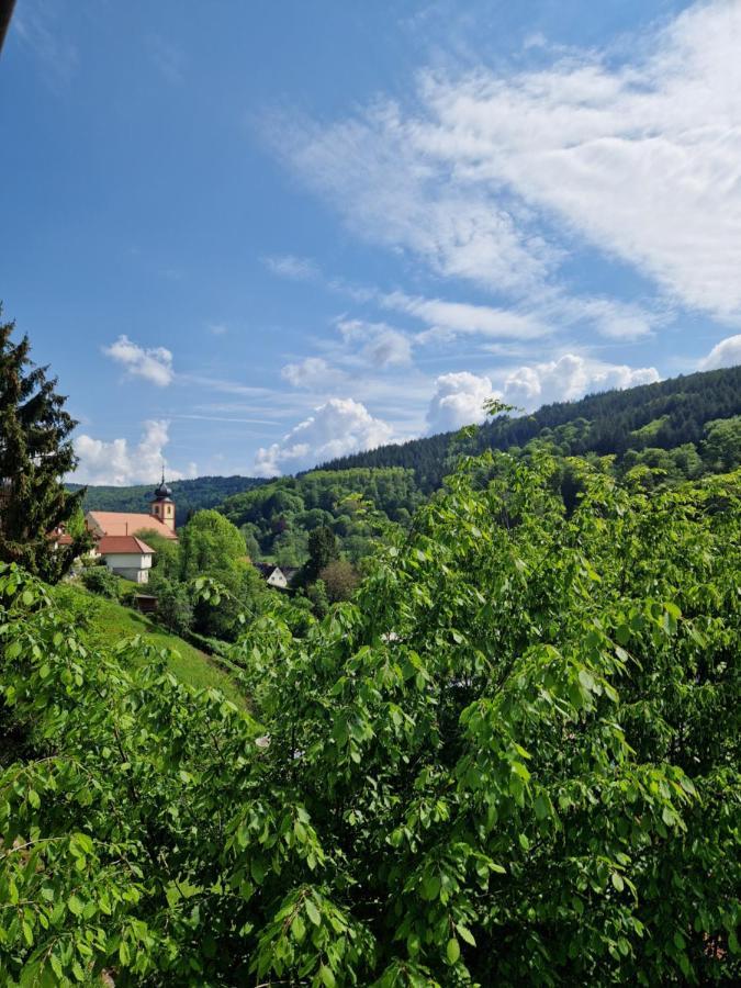 Ferienhaus Heinz Heiligkreuzsteinach Екстер'єр фото